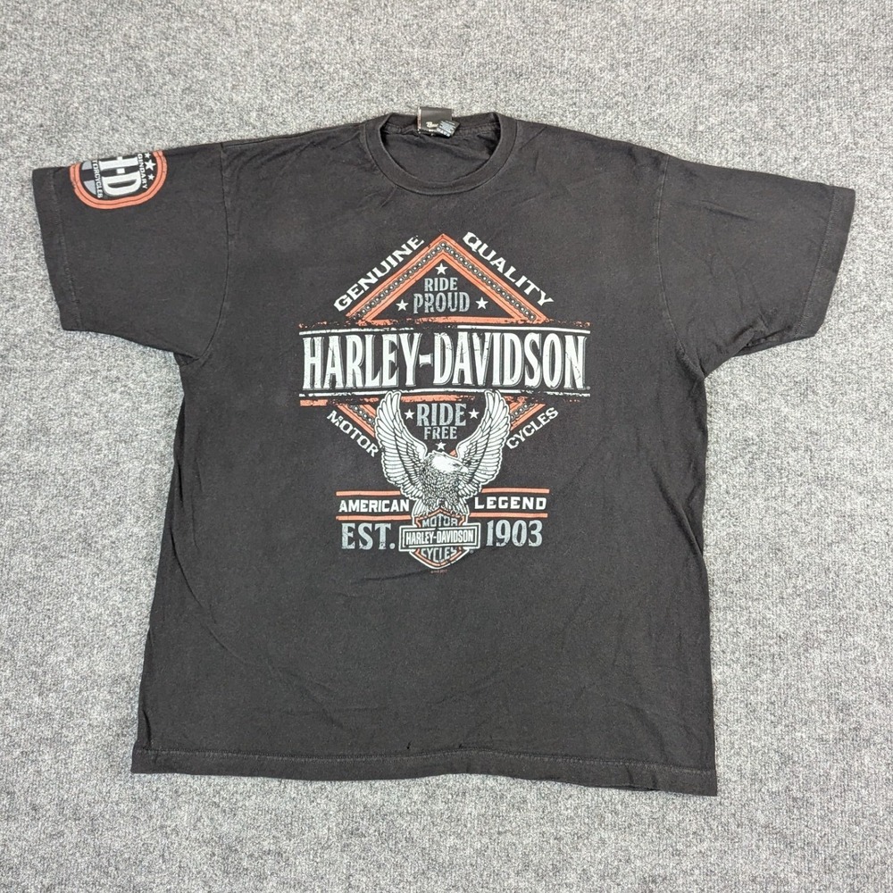 Harley-Davidson Reel Brothers Wisconsin Dells Graphic T-Shirt Black XL 2017